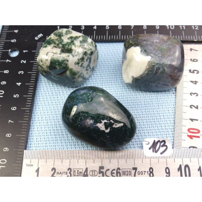 Agate Arborisée Lot de 3 Galets Jumbo Semi Roulés 220g | Minéraux Paubrasil