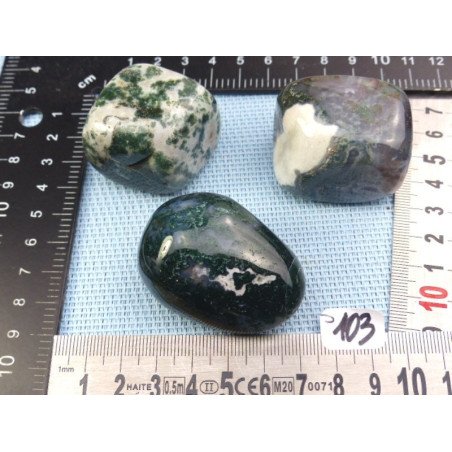 Agate Arborisée Lot de 3 Galets Jumbo Semi Roulés 220g | Minéraux Paubrasil