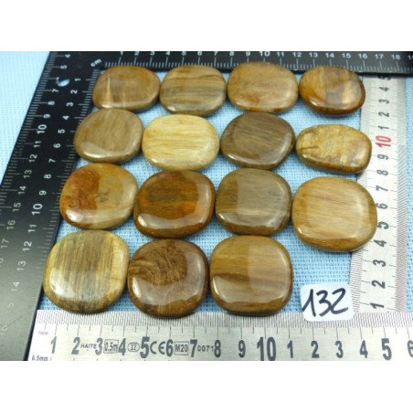 Bois Fossile Pierre Plate à l unité de 37 à 42 mm | Minéraux Paubrasil