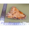 Dent de Mégalodon 149g