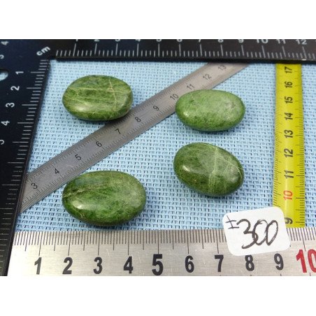 Diopside - Chrome Diospide Lot de 4 Mini Galets Aplatis 52g | Minéraux Paubrasil
