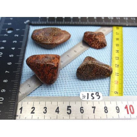 Jaspe Etoilé - Starburst Jasper Lot de 4 Pierres Roulées 68g | Minéraux Paubrasil