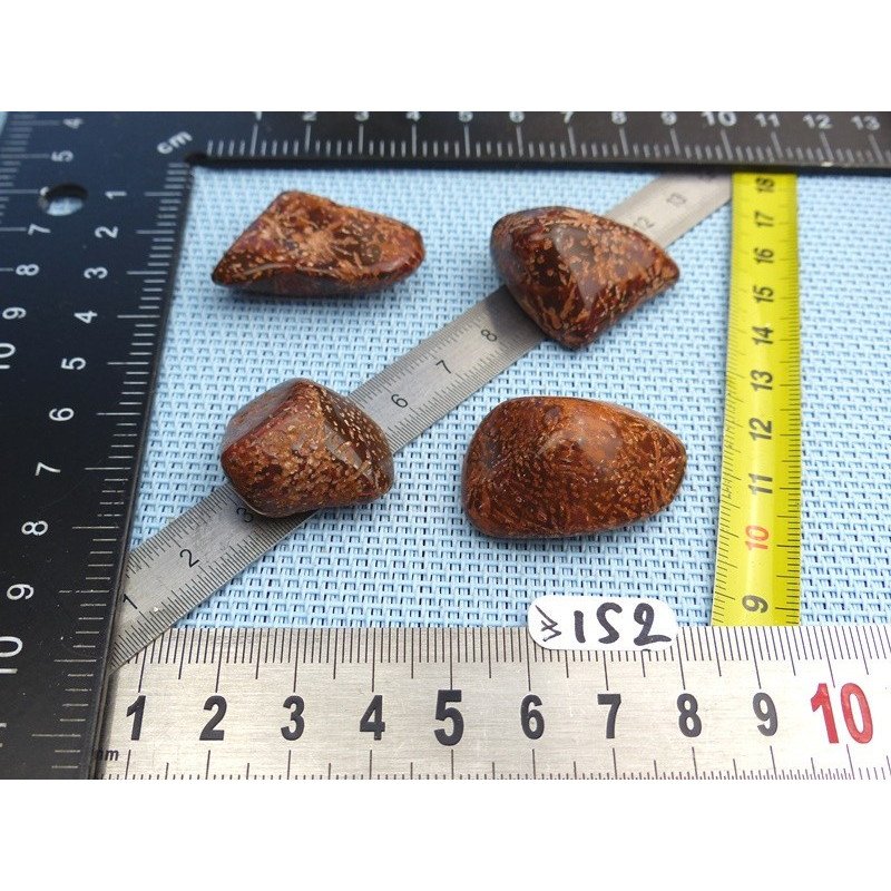 Jaspe Etoilé - Starburst Jasper Lot de 4 Pierres Roulées 47g | Minéraux Paubrasil