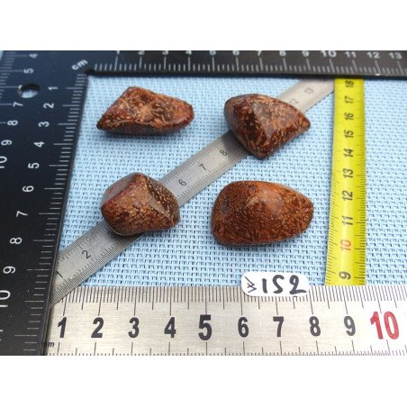 Jaspe Etoilé - Starburst Jasper Lot de 4 Pierres Roulées 47g | Minéraux Paubrasil