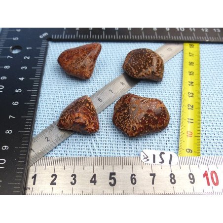 Jaspe Etoilé - Starburst Jasper Lot de 4 Pierres Roulées 39g | Minéraux Paubrasil