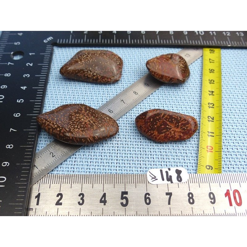 Jaspe Etoilé - Starburst Jasper Lot de 4 Pierres Roulées 41g | Minéraux Paubrasil
