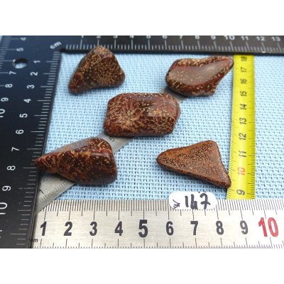 Jaspe Etoilé - Starburst Jasper Lot de 5 Pierres Roulées 64g | Minéraux Paubrasil