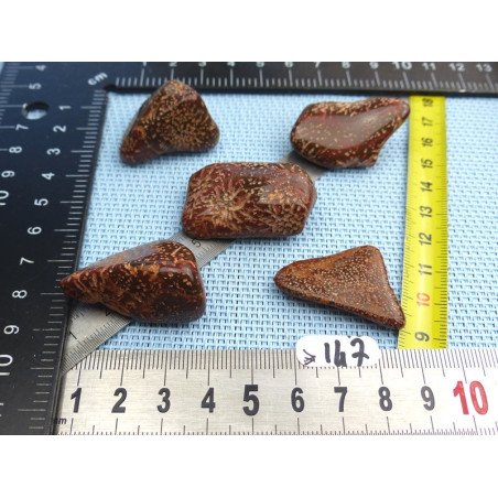 Jaspe Etoilé - Starburst Jasper Lot de 5 Pierres Roulées 64g | Minéraux Paubrasil