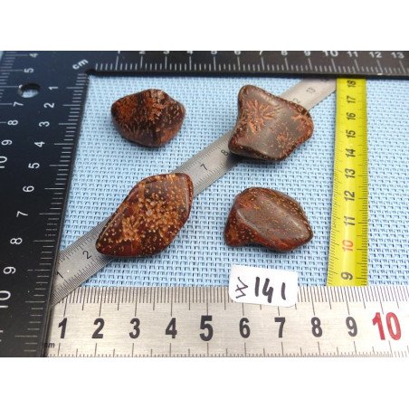 Jaspe Etoilé - Starburst Jasper Lot de 4 Pierres Roulées 42g | Minéraux Paubrasil