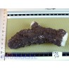 Calcite jaune noire du Chihuahua pierre brute RARE 245g