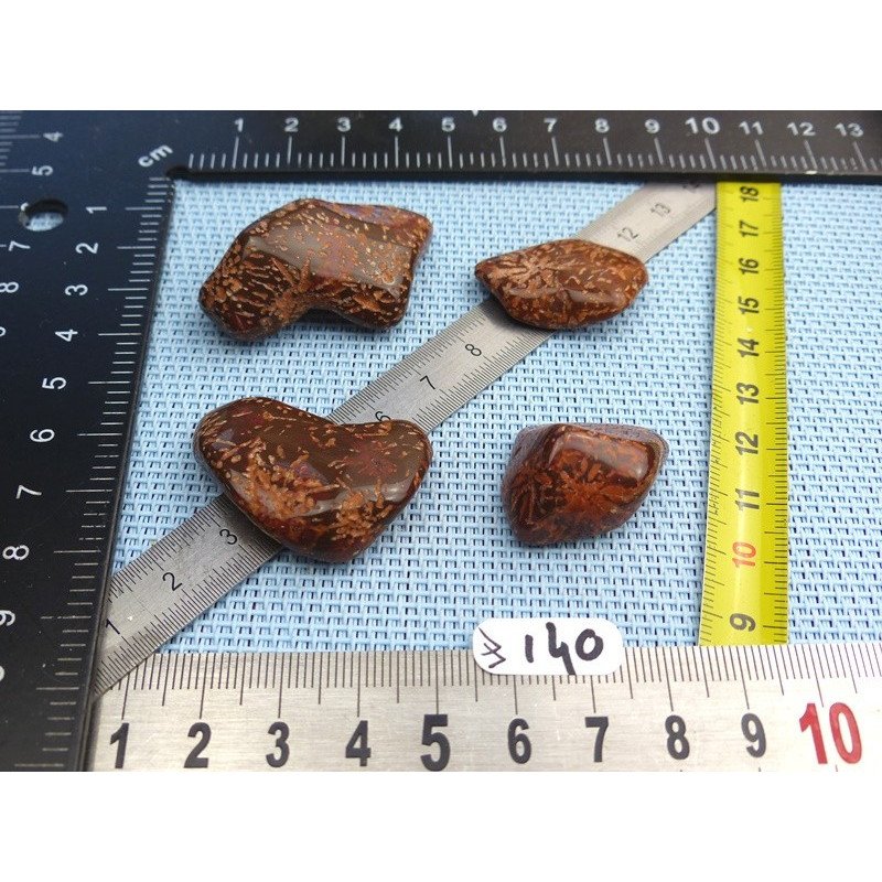 Jaspe Etoilé - Starburst Jasper Lot de 4 Pierres Roulées 40g | Minéraux Paubrasil