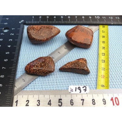 Jaspe Etoilé - Starburst Jasper Lot de 4 Pierres Roulées 54g | Minéraux Paubrasil