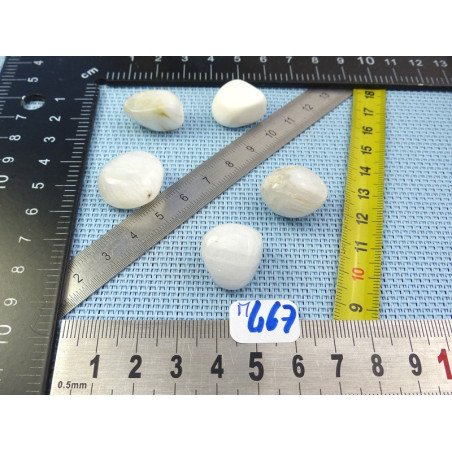 Scolecite Lot de 5 Pierres Roulées 25g | Minéraux Paubrasil