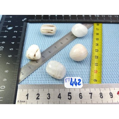 Scolecite Lot de 5 Pierres Roulées 30g | Minéraux Paubrasil