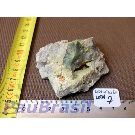 Wavellite 89gr Arkansas USA 