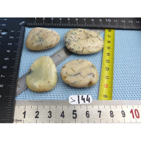 Opale à Dendrites Lot de 4 Pierres Plates 55g | Minéraux Paubrasil