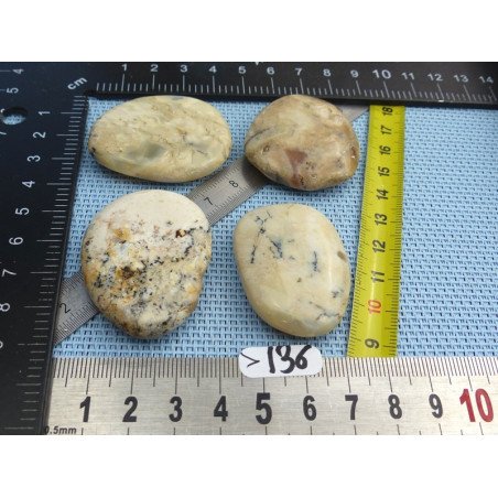 Opale à Dendrites Lot de 4 Pierres Plates 70g | Minéraux Paubrasil