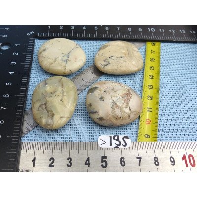 Opale à Dendrites Lot de 4 Pierres Plates 62g | Minéraux Paubrasil