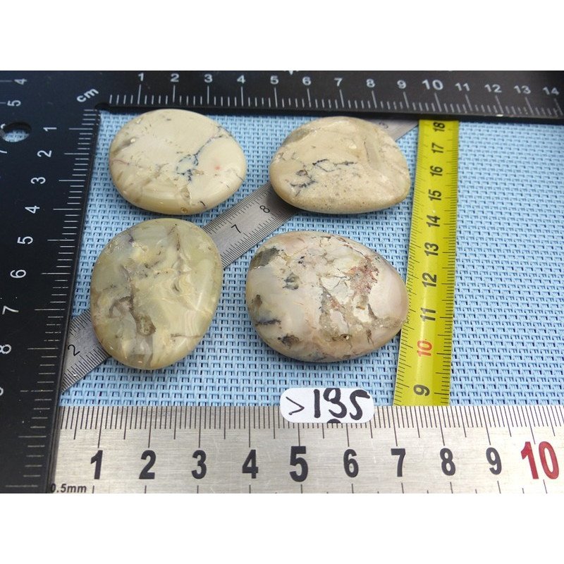 Opale à Dendrites Lot de 4 Pierres Plates 62g | Minéraux Paubrasil