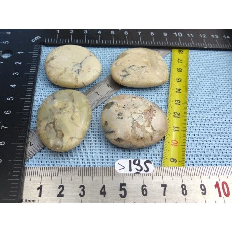 Opale à Dendrites Lot de 4 Pierres Plates 62g | Minéraux Paubrasil