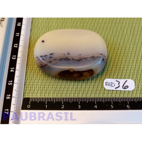 Agate Naturelle Dendrite Q Extra en tranche plate 43g