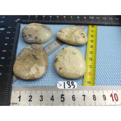 Opale à Dendrites Lot de 4 Pierres Plates 67g | Minéraux Paubrasil