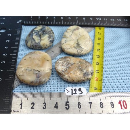 Opale à Dendrites Lot de 4 Pierres Plates 63g | Minéraux Paubrasil