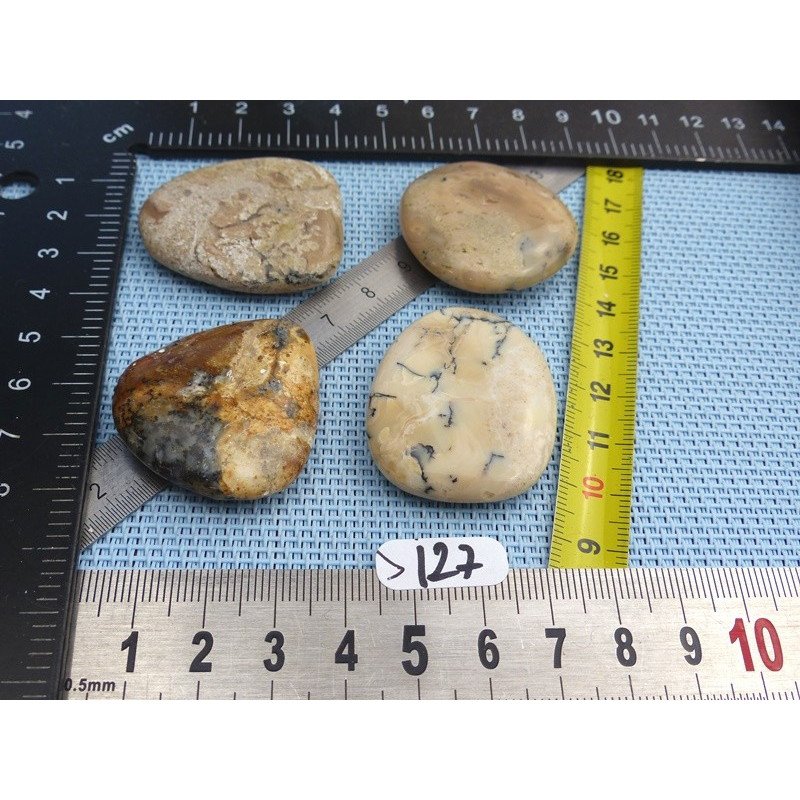 Opale à Dendrites Lot de 4 Pierres Plates 57g | Minéraux Paubrasil