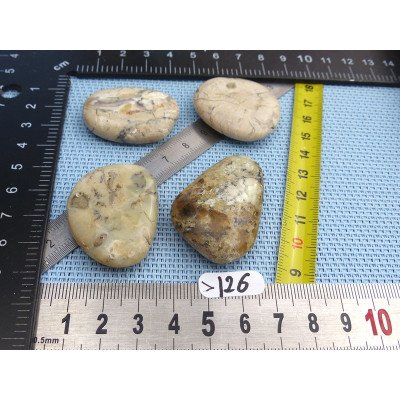 Opale à Dendrites Lot de 4 Pierres Plates 53g | Minéraux Paubrasil