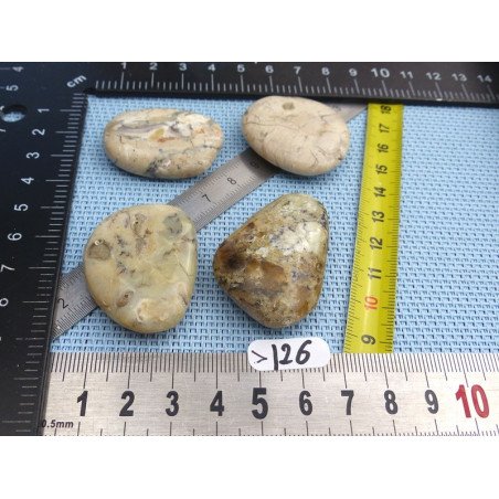 Opale à Dendrites Lot de 4 Pierres Plates 53g | Minéraux Paubrasil
