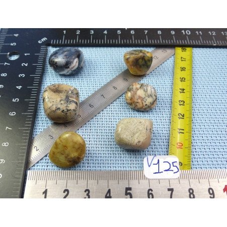 Opale à Dendrites Lot de 6 Pierres Roulées 38g | Minéraux Paubrasil