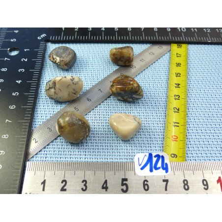 Opale à Dendrites Lot de 6 Pierres Roulées 27g | Minéraux Paubrasil