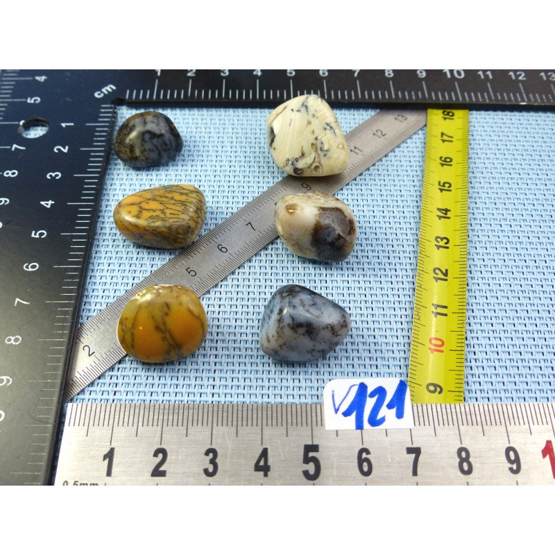 Opale à Dendrites Lot de 6 Pierres Roulées 30g | Minéraux Paubrasil
