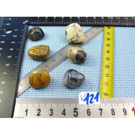 Opale à Dendrites Lot de 6 Pierres Roulées 30g | Minéraux Paubrasil