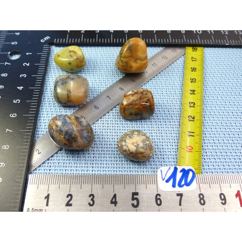 Opale à Dendrites Lot de 6 Pierres Roulées 35g | Minéraux Paubrasil