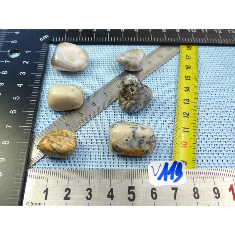 Opale à Dendrites Lot de 6 Pierres Roulées 37g | Minéraux Paubrasil