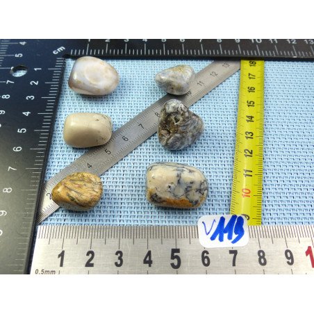 Opale à Dendrites Lot de 6 Pierres Roulées 37g | Minéraux Paubrasil