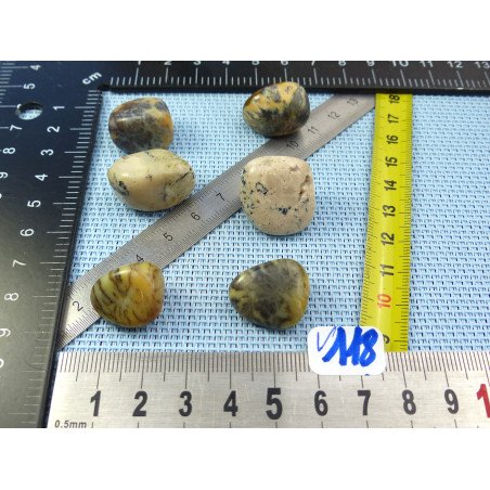 Opale à Dendrites Lot de 6 Pierres Roulées 32g | Minéraux Paubrasil