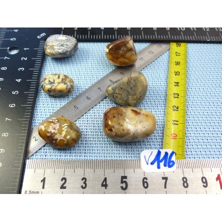 Opale à Dendrites Lot de 6 Pierres Roulées 45g | Minéraux Paubrasil