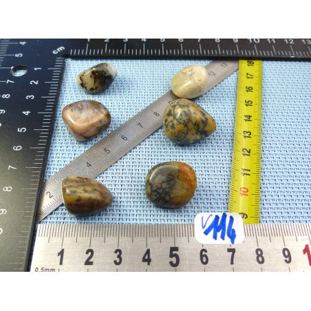 Opale à Dendrites Lot de 6 Pierres Roulées 31g | Minéraux Paubrasil