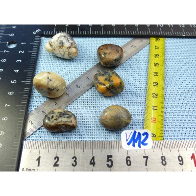 Opale à Dendrites Lot de 6 Pierres Roulées 36g | Minéraux Paubrasil