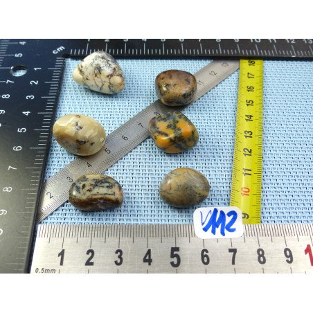 Opale à Dendrites Lot de 6 Pierres Roulées 36g | Minéraux Paubrasil