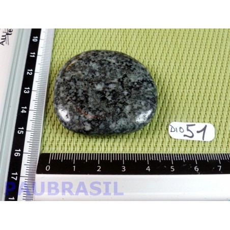 Diorite Q moyenne pierre plate de 37gr Rare .