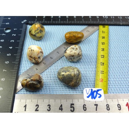 Opale à Dendrites Lot de 6 Pierres Roulées 33g | Minéraux Paubrasil