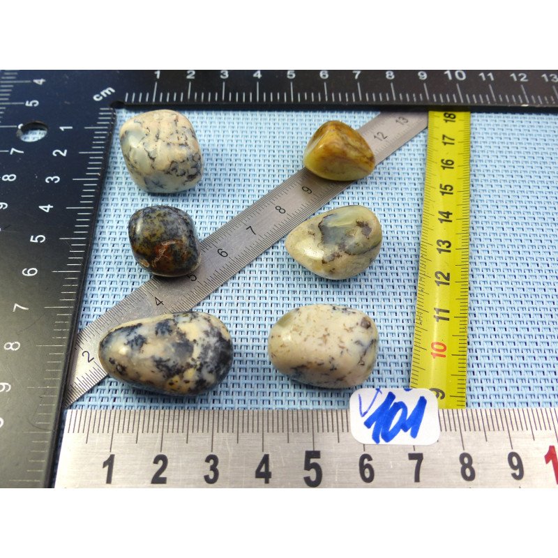Opale à Dendrites Lot de 6 Pierres Roulées 41g | Minéraux Paubrasil