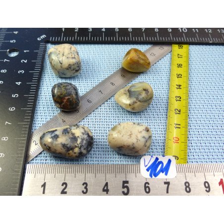 Opale à Dendrites Lot de 6 Pierres Roulées 41g | Minéraux Paubrasil