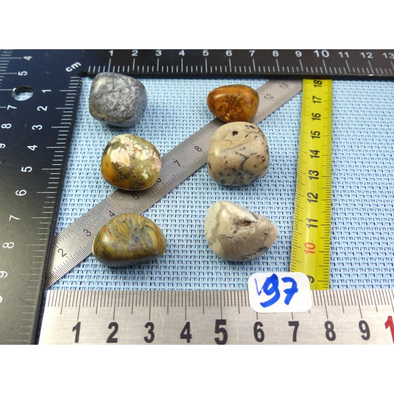 Opale à Dendrites Lot de 6 Pierres Roulées 42g | Minéraux Paubrasil