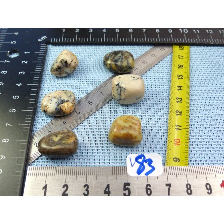 Opale à Dendrites Lot de 6 Pierres Roulées 29g | Minéraux Paubrasil