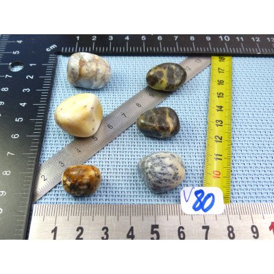 Opale à Dendrites Lot de 6 Pierres Roulées 39g | Minéraux Paubrasil