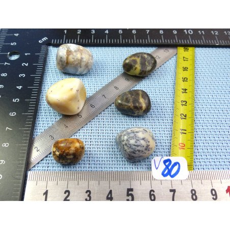 Opale à Dendrites Lot de 6 Pierres Roulées 39g | Minéraux Paubrasil